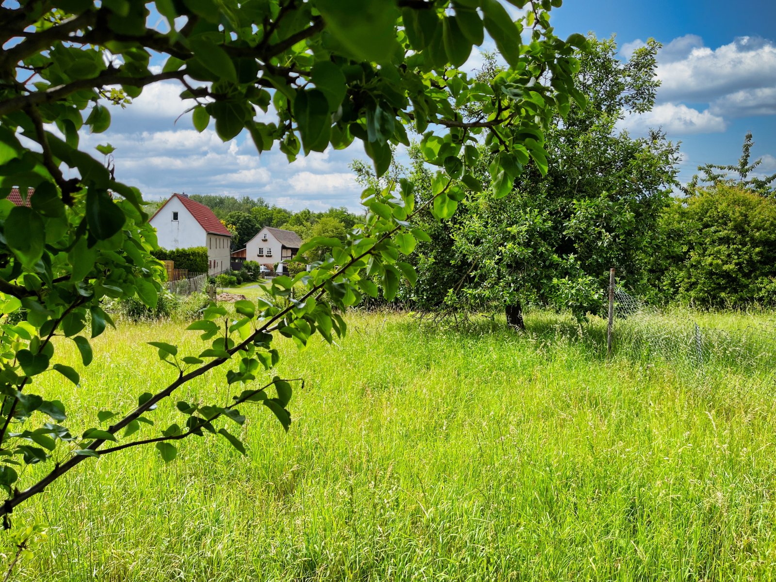 noch mehr Garten 