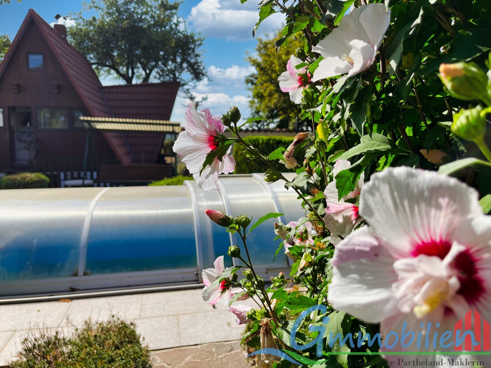 Blick auf den Pool